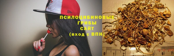 герыч Лагань