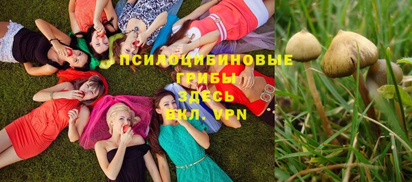 герыч Лагань