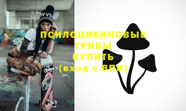 синтетический гашиш Ладушкин