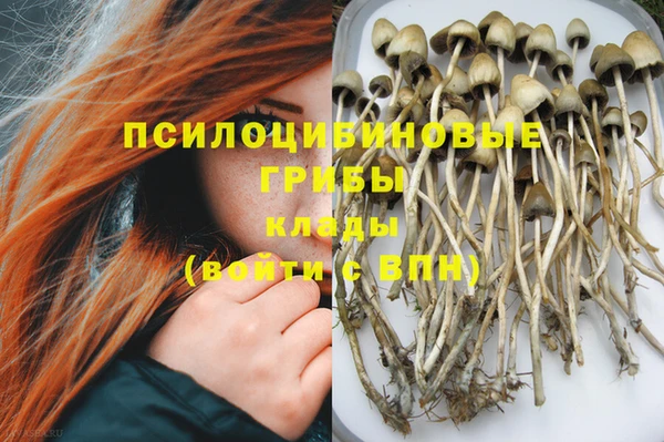 герыч Лагань