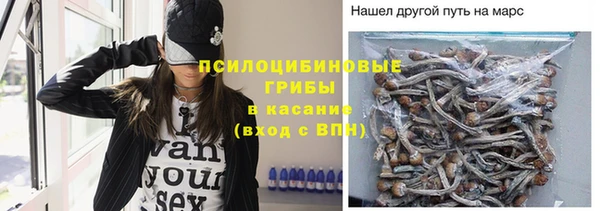 герыч Лагань
